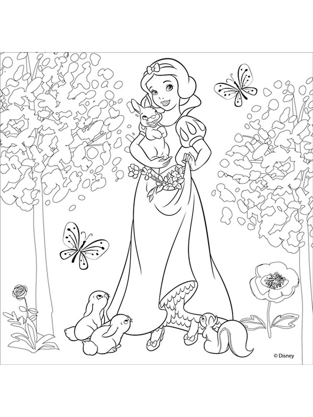 Картина раскраска принцесса Дисней по номерам
