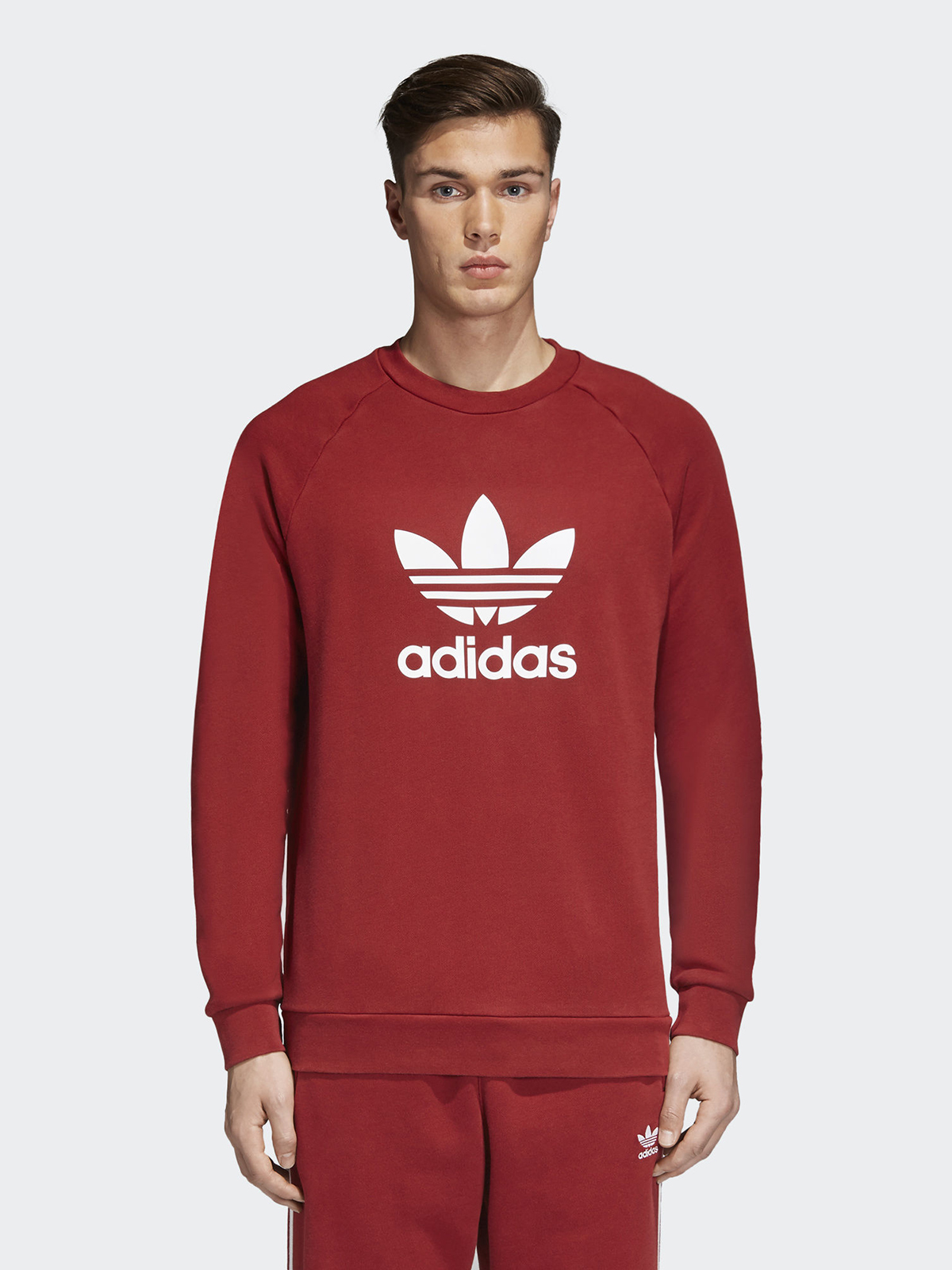 Свитшот адидас. Свитшот адидас красный мужской. Adidas Originals adicolor Trefoil Crew. Красная толстовка adidas ориджинал. Толстовка adidas Premier Crew.