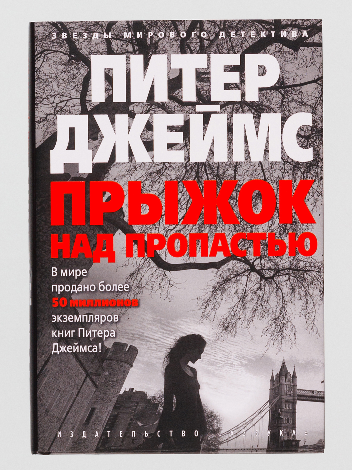 Книга пропасть. Питер Джеймс 