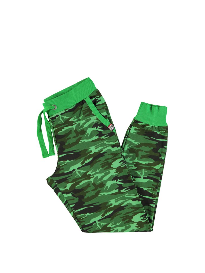 Штаны зеленые с камуфляжным принтом | 2692239