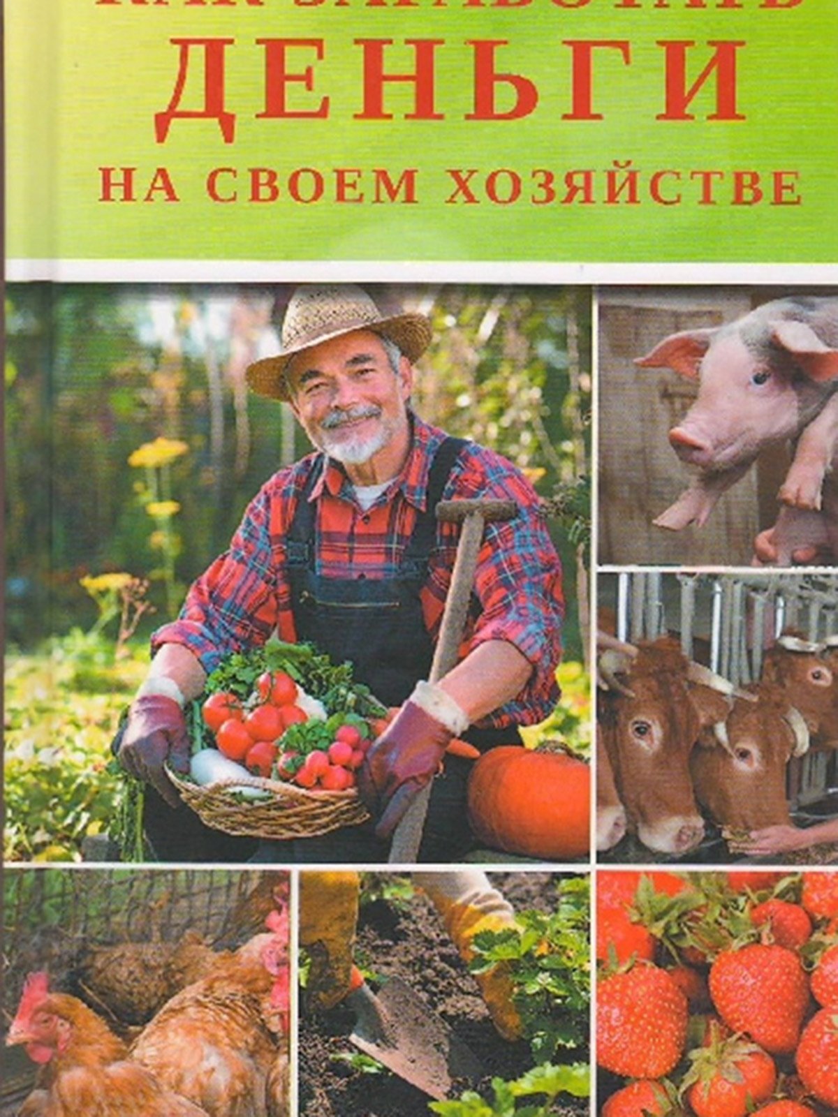 Книга «Как заработать деньги на своем хозяйстве» — Аргумент Принт, акция  действует до 11 июня 2018 года | LeBoutique — Коллекция брендовых вещей от  Аргумент Принт — 3196500