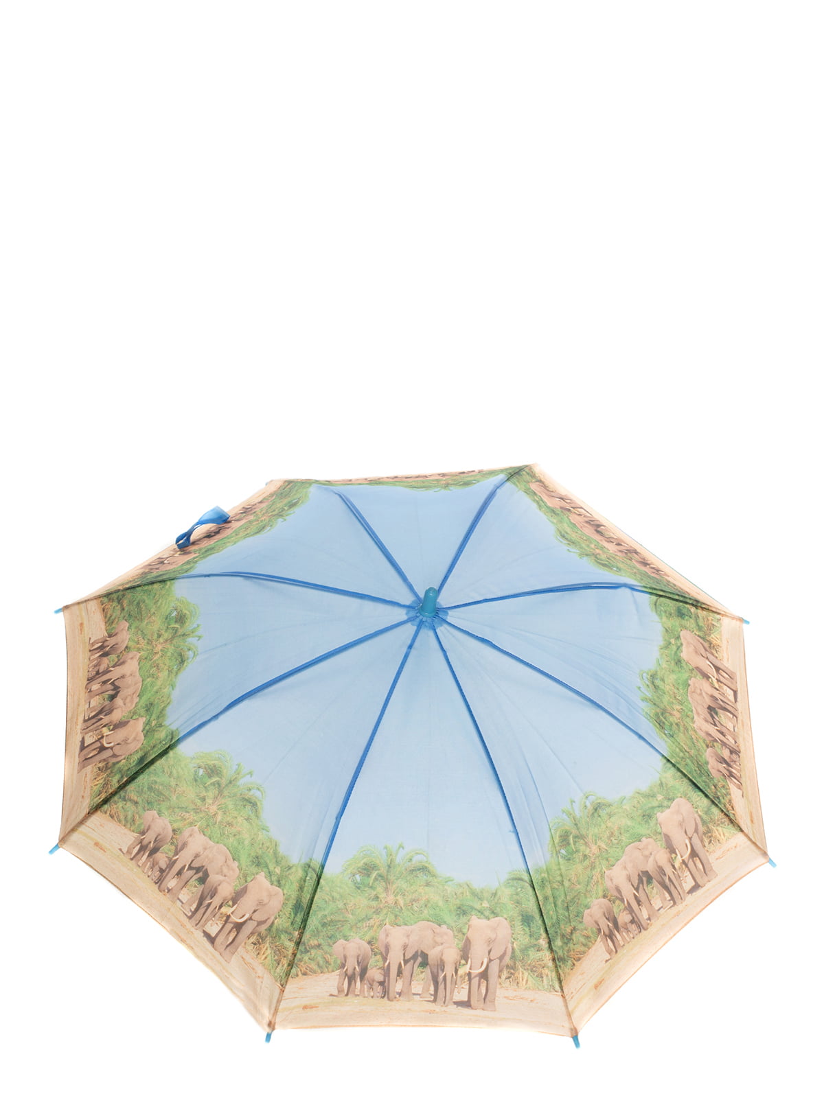 Зонт | 4141743