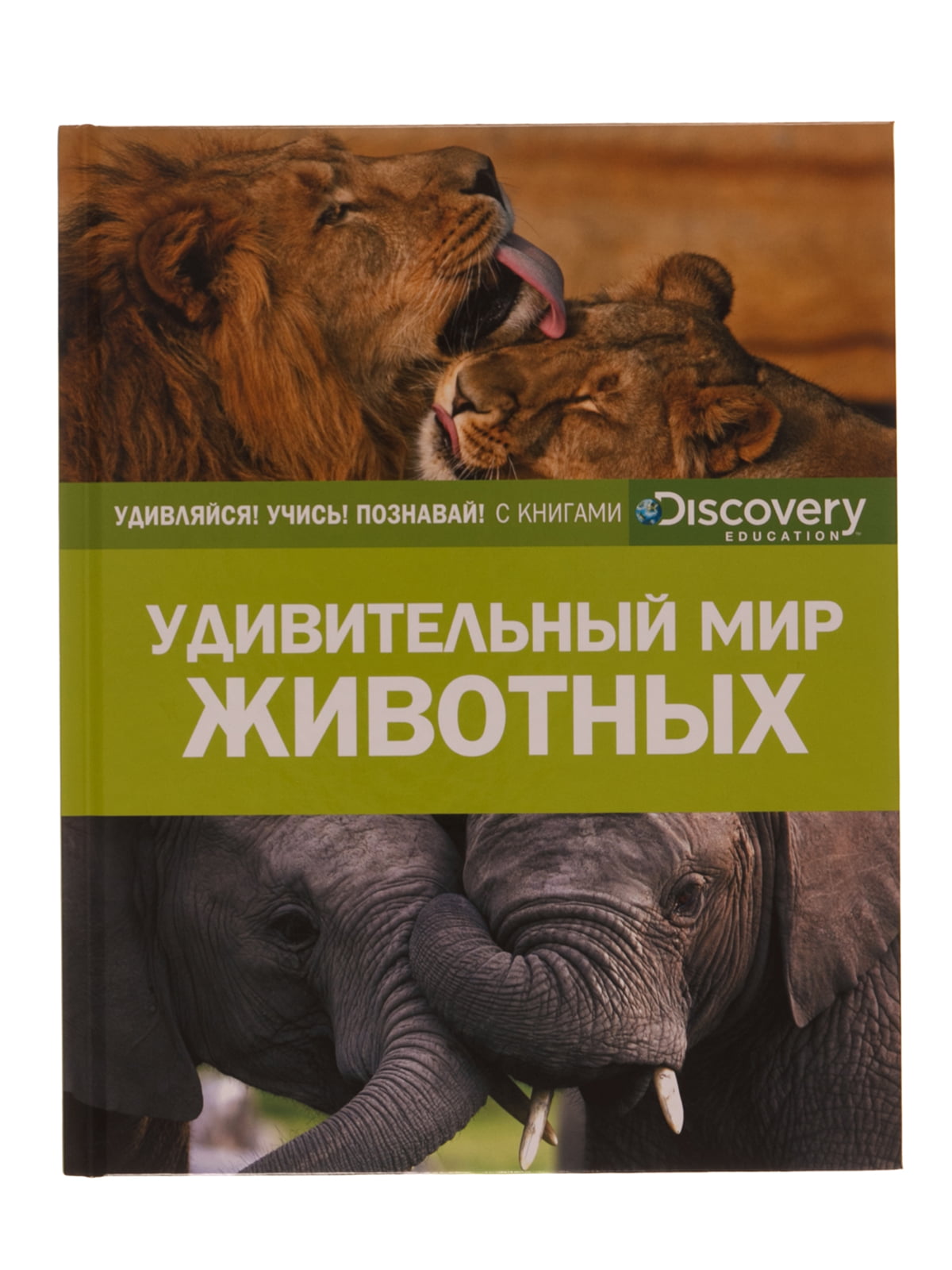 Книга «Удивительный мир животных» | 4293323