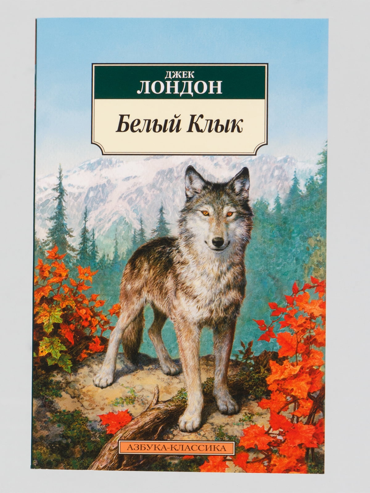 Джек лондон белый клык. Книга белый клык (Лондон Джек). Jack London белый клык. Белый клык по книге Джека Лондона.