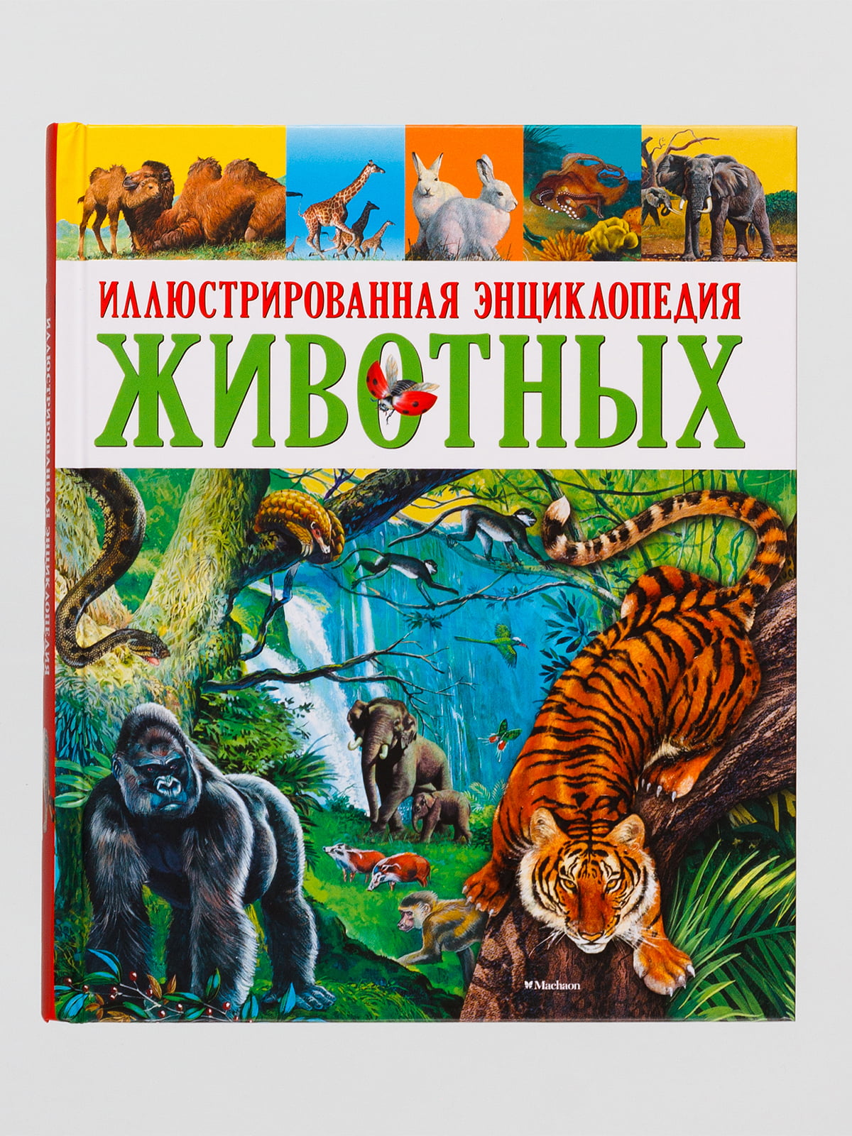 Книга «Иллюстрированная энциклопедия животных» | 4560729