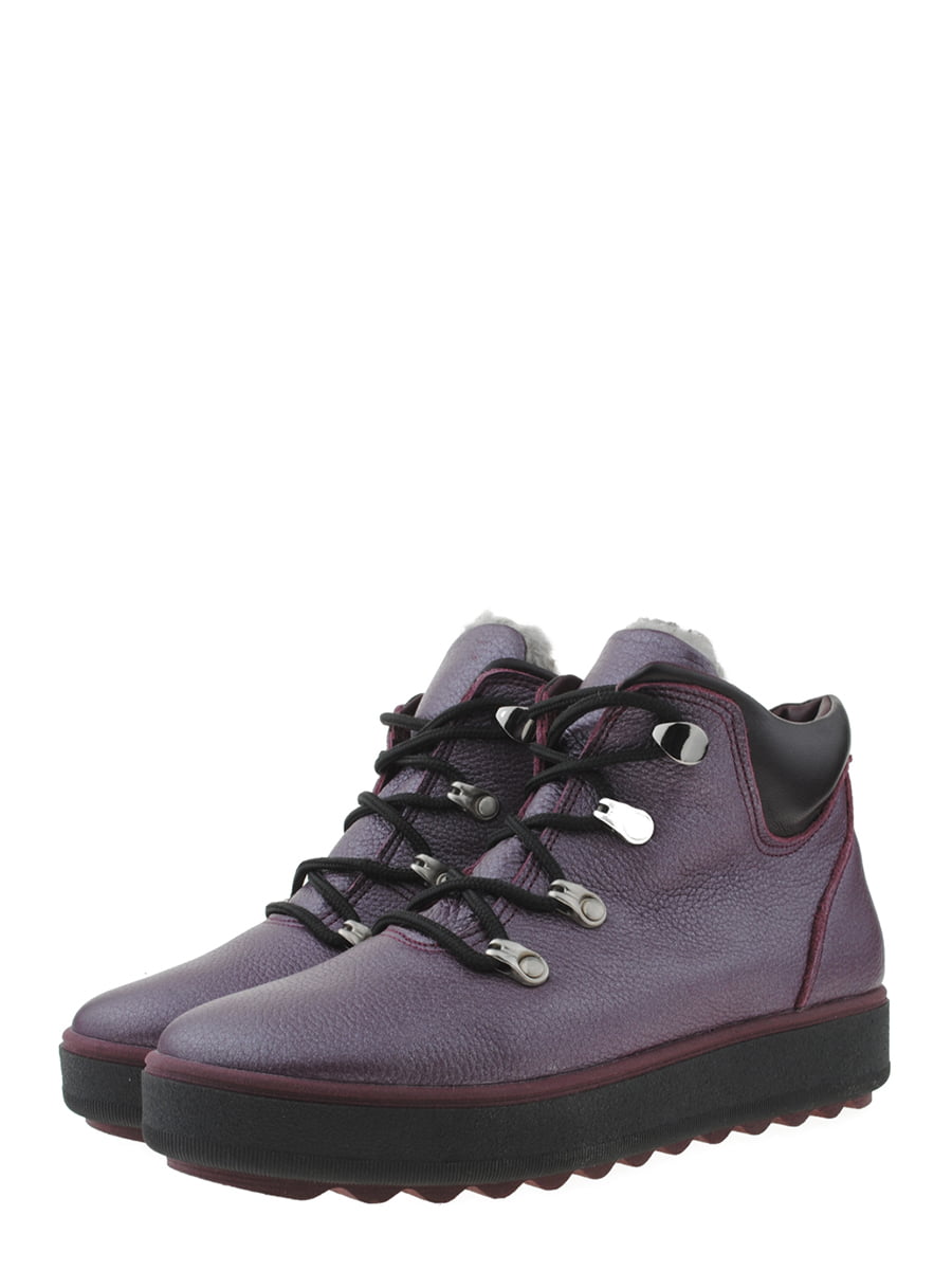 Ботинки фиолетовые | 5490266