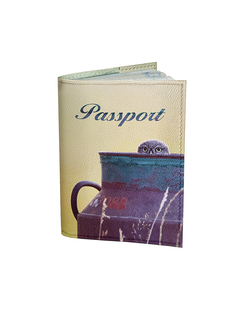 Обложка для паспорта | 6085502