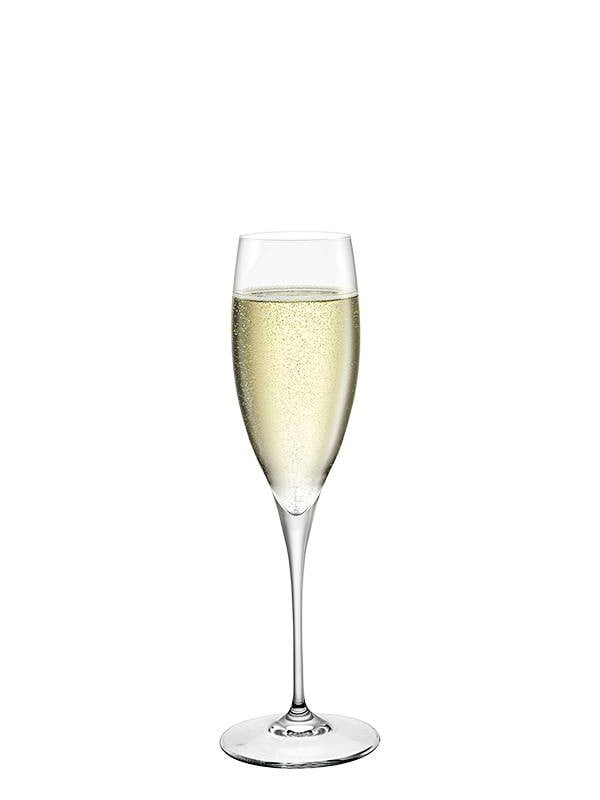 Келих для шампанського прозорий (260 мл, 6 шт.) Premium | 5939886