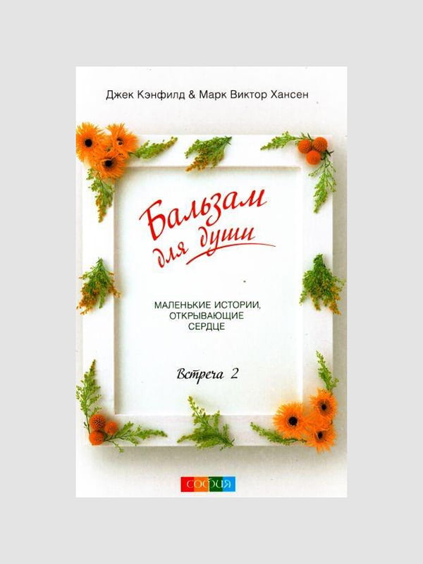 Книга "Бальзам для душі. Зустріч 2", Кенфілд Джек, Марк Віктор Хансен, 352 стор, рос. мова | 6394957