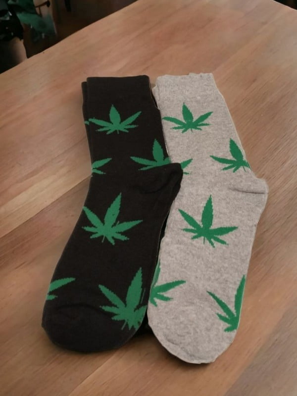 Набір шкарпеток «Green Plant» 3 пари | 6714513