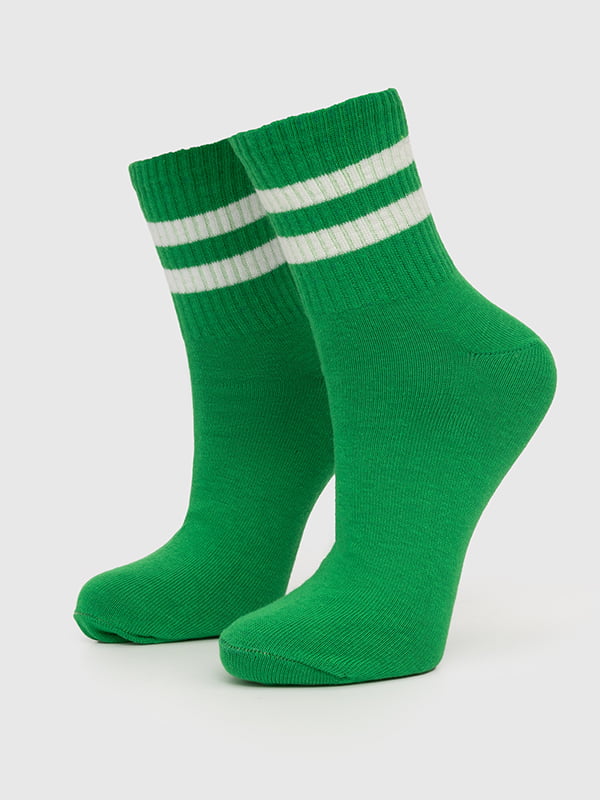 Шкарпетки зелені в смужку | 6757261