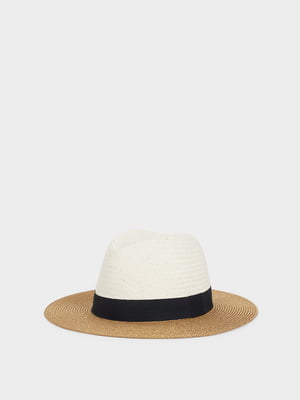 Шляпа трехцветная | 5520363