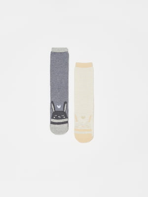 Комплект шкарпеток (2 пари) | 5536196
