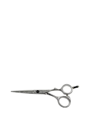 Ножиці перукарські професійні | 5605861