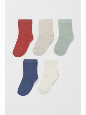 Набір шкарпеток (5 пар) | 5690558