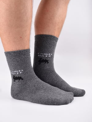 Шкарпетки сірі в принт | 5903100