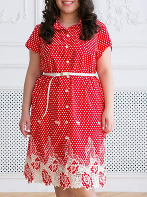 Сукня А-силуету червона з принтом | 5919201