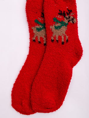 Шкарпетки червоні в принт | 5953705