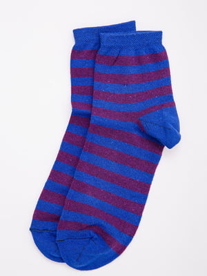 Шкарпетки сині в смужку | 5988631
