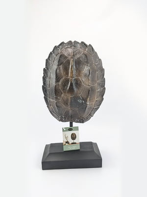 Статуэтка декоративная «Панцирь Черепахи» | 6009700