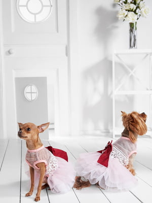 Платье для собак | 5979764