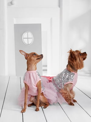 Платье для собак | 5979767
