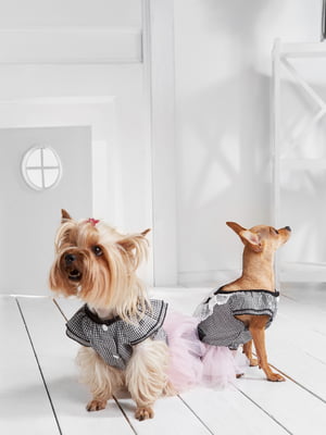 Платье для собак | 5979772