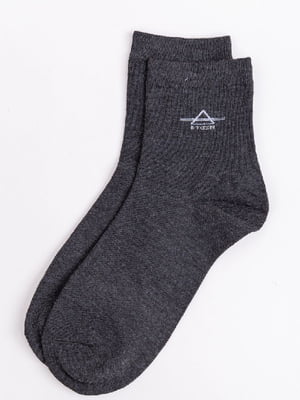 Шкарпетки сірі | 6125502