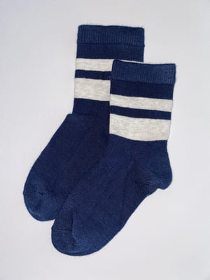 Шкарпетки синьо-сірі | 6285899