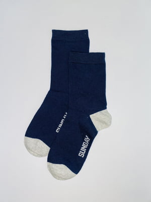 Шкарпетки синьо-сірі | 6286044