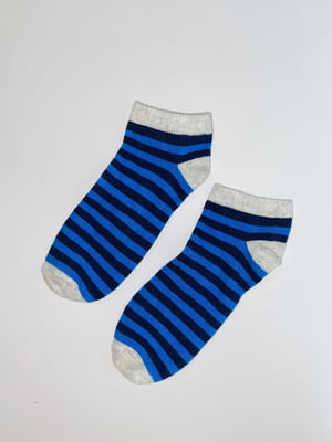 Шкарпетки сині в смужку | 6286092