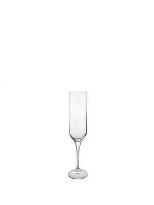 Набір келихів для шампанського 6 шт. 200 мл | 6314512
