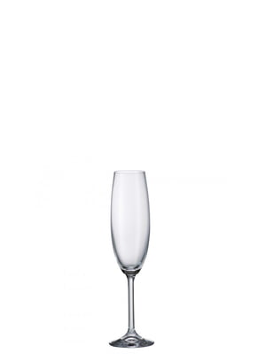 Набор бокалов для шампанского 6 шт. 220 мл | 6314533