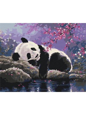 Картина за номерами "Солодкий сон панди" (40х50 см) | 6354700