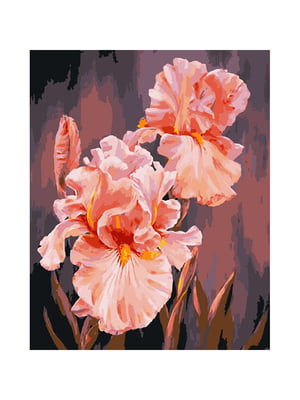Картина за номерами "Рожеві іриси" (40х50 см) | 6355165