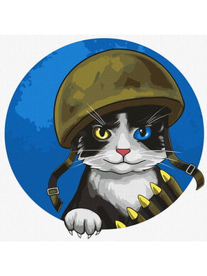 Картина по номерам "Воинственный котик" ©art.irina.pass 30х30 см | 6356481