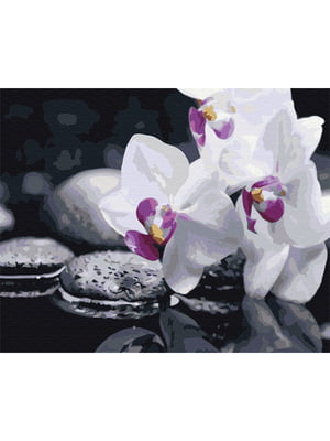 Картина по номерам "Цветы дзена" (40х50 см) | 6356501