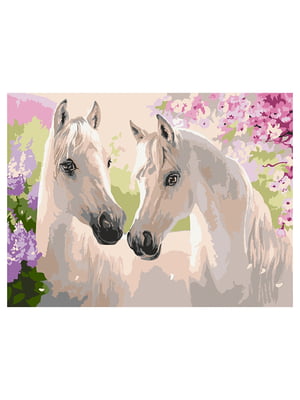 Картина за номерами "Пара коней" (30х40 см) | 6358289