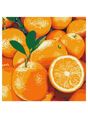 Картина по номерам "Сочный апельсин" (25х25 см) | 6358983