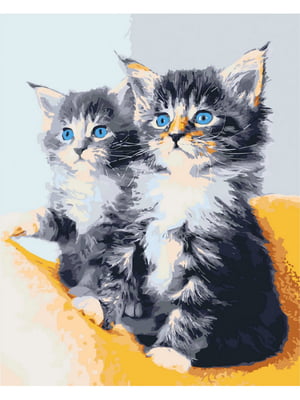 Картина за номерами Art Craft "Блакитноокі кошенята" 40х50 см | 6363331