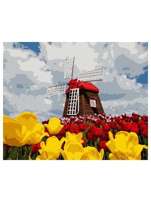 Картина за номерами Нідерланди (50x60 см) | 6366047
