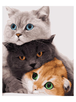 Картина по номерам Три кошки (50x60 см) | 6366057