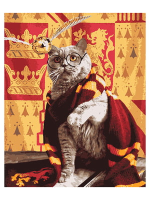 Картина по номерам Гарри Поттер Котик и снитч (50x60 см) | 6366143