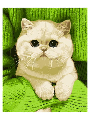 Картина за номерами Кішка (50x60 см) | 6366227