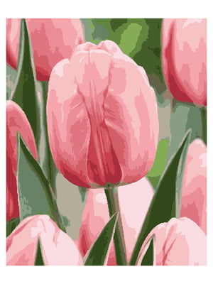 Картина за номерами Ніжна весна (40x50 см) | 6366360