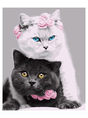 Картина по номерам Два кота (40x50 см) | 6366416