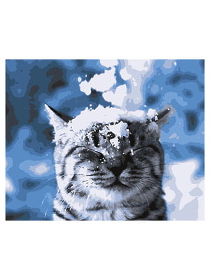 Картина за номерами “Кіт. Зима прийшла!» (40x50 см) | 6366430