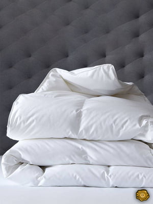 Одеяло силиконовое двуспальное (175х205 см) | 6369267