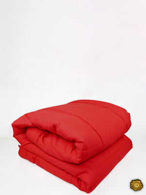 Одеяло силиконовое двуспальное (175х205 см) | 6369270