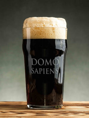 Бокал для пива "Domosapiens" | 6377325